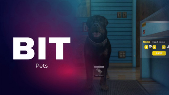 PETS SYSTEM FiveM | BIT Scripts | FiveM Scripts | Tebex | Script ...